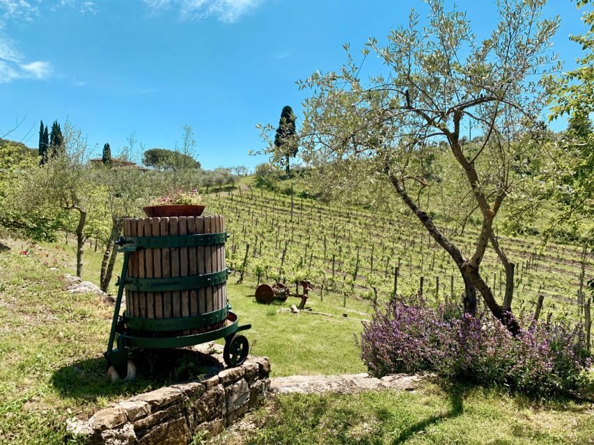 From Florence: Private Chianti Hills Tour with Tasting - Radda in Chianti free time: how to use 30 minutes well