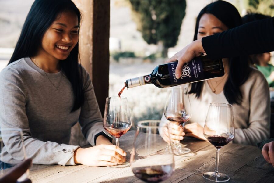 From Florence: Private Chianti Hills Tour with Tasting - The minivan ride: comfort on Chianti’s narrow roads