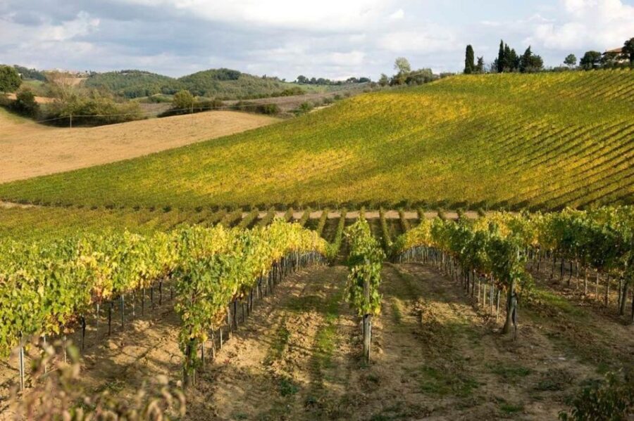 From Florence: Siena & San Gimignano Tour with Wine & Lunch - Who should book this Florence day trip (and who shouldn’t)
