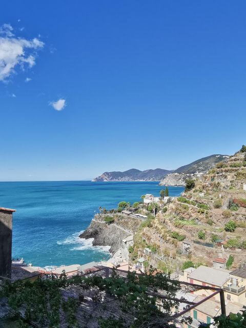 From Florence: Small-group to Cinque Terre and Pisa Day Tour - Riomaggiore: alleys, castle views, and optional swim breaks