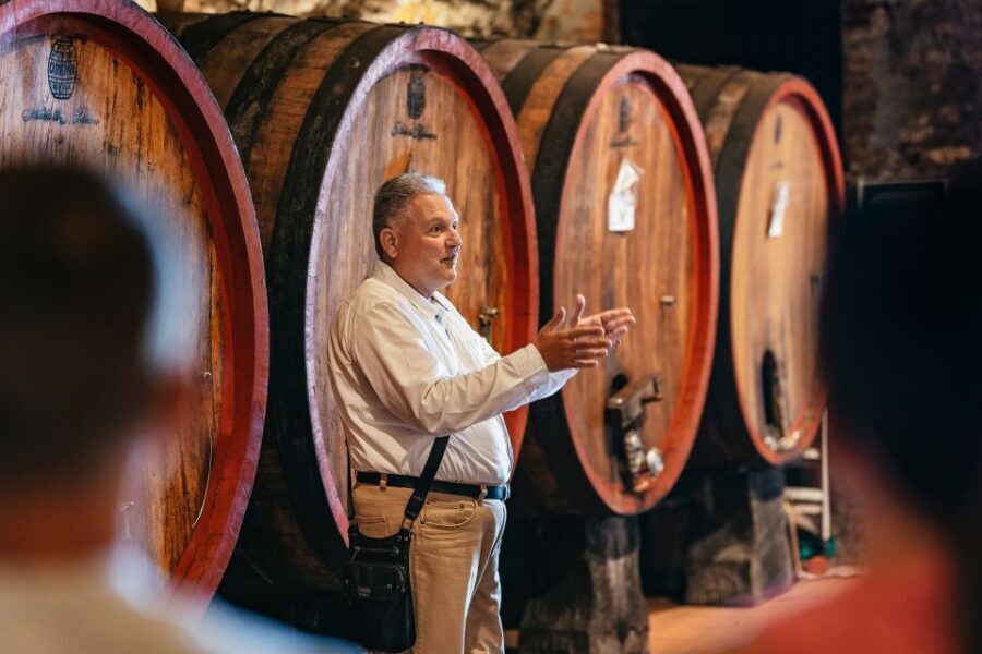 From Florence: Small Group Wine Tasting Tour to Tuscany - Should you book this Chianti Classico wine and olive oil tour?