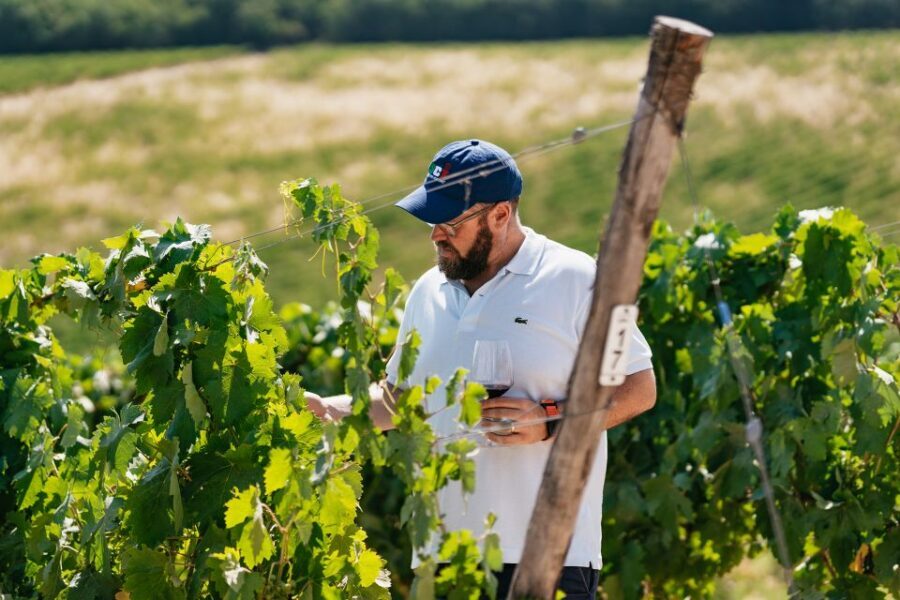 From Florence: Small Group Wine Tasting Tour to Tuscany - First winery: the cellar tour plus the olive oil and Sangiovese intro