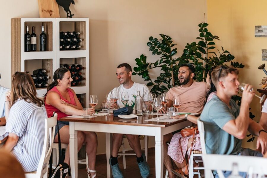 From Florence: Small Group Wine Tasting Tour to Tuscany - Timing and comfort: the half-day rhythm and how to survive it