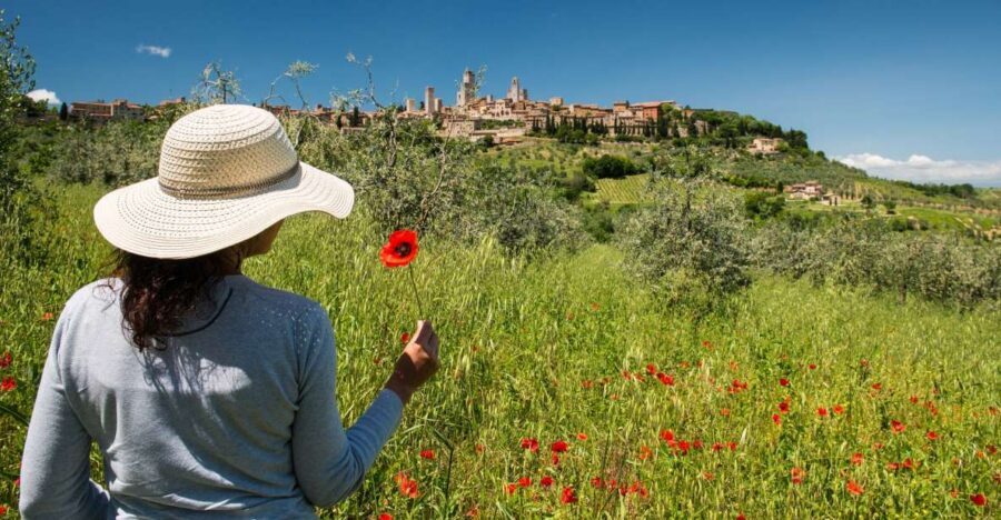 From Florence: Tuscany Highlights Full-Day Tour - Price value: why $46 can be a smart deal (or not)