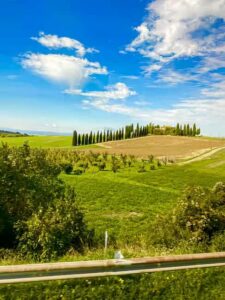 From Florence: Tuscany Hills Wine Tour - Meeting point and timing: how the 12.5 hours play out