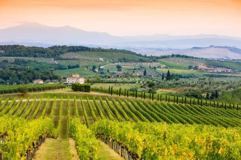 From Florence: Tuscany Wine & Food Tour with Guide - Lunch inside the day: Tuscan classics and pairing wine