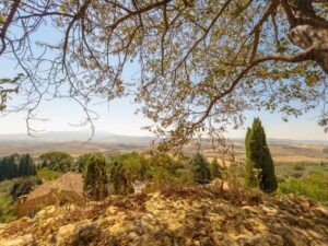 From Florence: Val D'Orcia Tour with Wine Tasting - Meeting Point, Timing, and Getting Started Smoothly