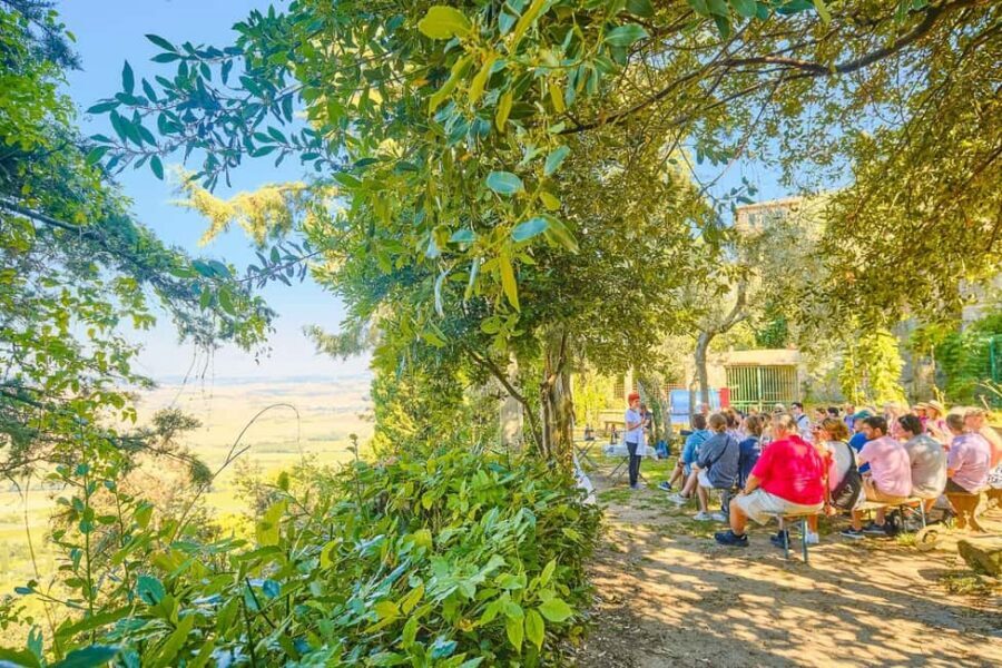 From Florence: Val D'Orcia Tour with Wine Tasting - Timing in the Towns: The Sweet Spot Between Wandering and Waiting