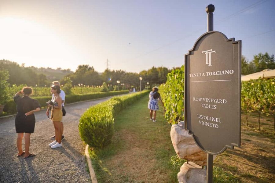 From Florence: Wine Tasting and Dinner in Chianti Vineyards - Key points