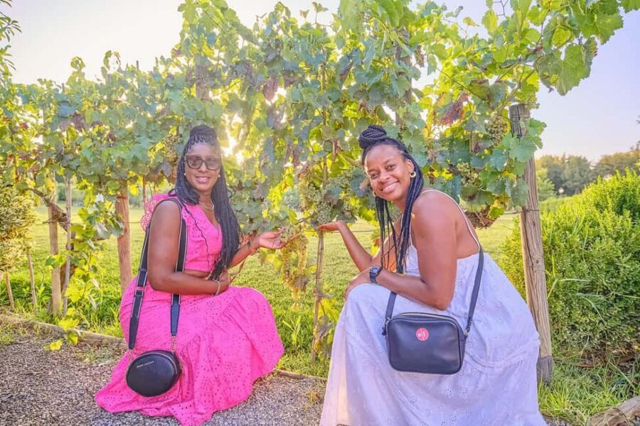 From Florence: Wine Tasting and Dinner in Chianti Vineyards - The people factor: guides and hosts shape the day