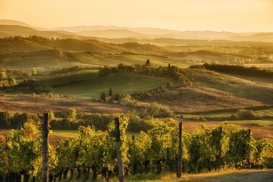 From Rome: Discover Florence and Pisa in a Full-Day Tour - Key highlights for your Rome to Florence and Pisa day