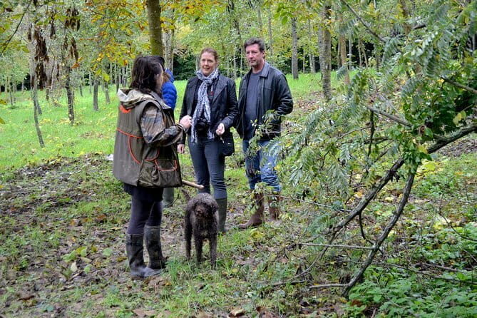 Full-Day Small-Group Truffle Hunting in Tuscany with Lunch - Key reasons this truffle hunting day works