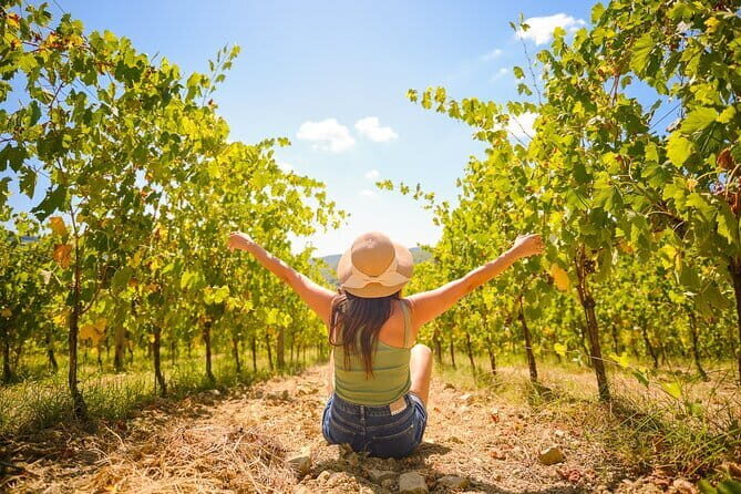 Half day Chianti Vineyard Escape from Florence with Wine Tastings - Why This Half-Day Chianti Tour Works So Well From Florence