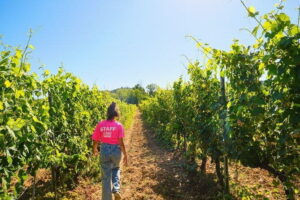 Half day Chianti Vineyard Escape from Florence with Wine Tastings - Getting on the Bus: Piazzale Montelungo, Wi-Fi, and English-Led Timing