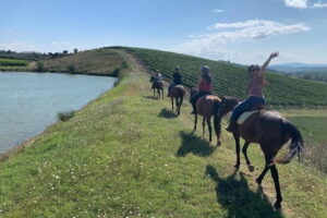 Horseback Ride in S.Gimignano with Tuscan Lunch Chianti Tasting - San Gimignano: towers, squares, and time to wander