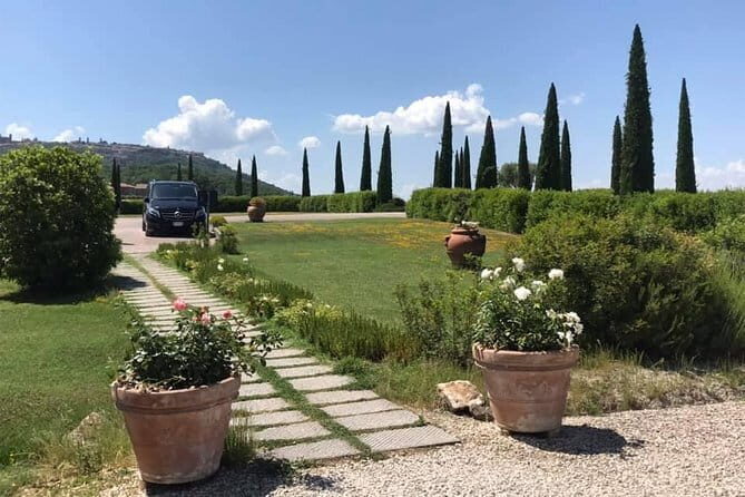 Pisa and Lucca Day Trip from Florence - Buccellato Tasting: Small Snack, Real Local Flavor