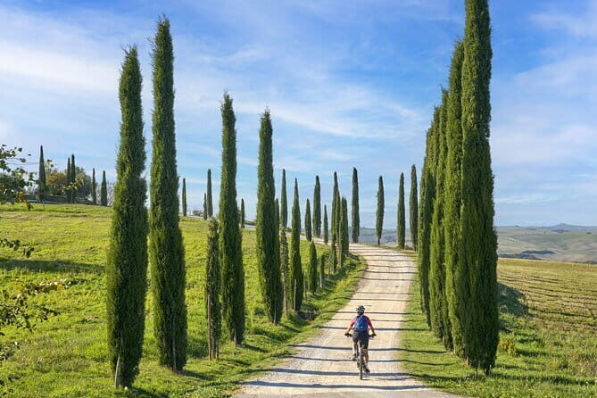 Pisa, Siena and San Gimignano Day Trip with Lunch & Wine Pairing - Pisa On Your Terms: Square of Miracles And Leaning Tower Timing