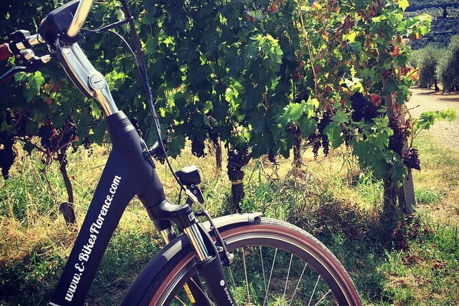Private Self-Guided E-Bike Ride in Tuscany with Vineyard Visit - Key takeaways before you pedal