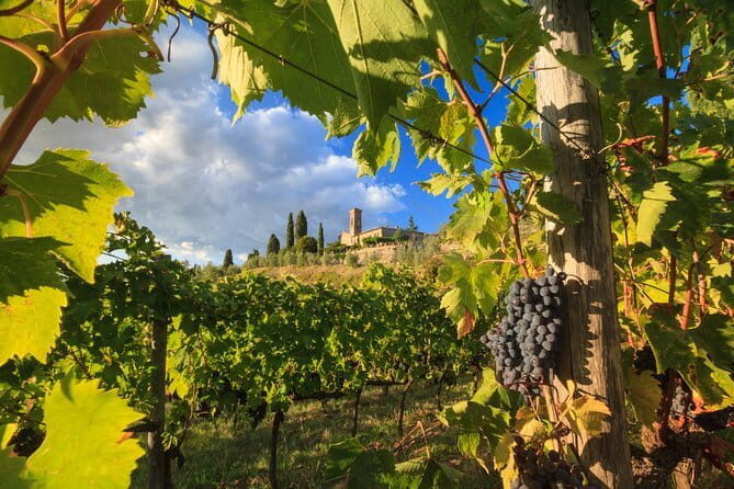Private Tuscany Tour from Florence Including Siena, San Gimignano and Chianti Wine Region - Key things that make this Tuscany tour work