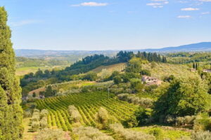 Private Tuscany Tour from Florence Including Siena, San Gimignano and Chianti Wine Region - San Gimignano’s towers and Piazza della Cisterna for easy wandering