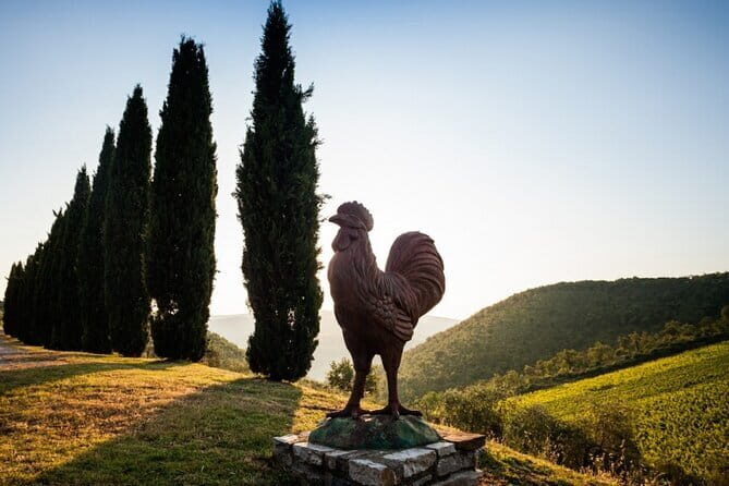 Semi Private Deep Wine Chianti and San Gimignano from Florence - Key things to know before you go