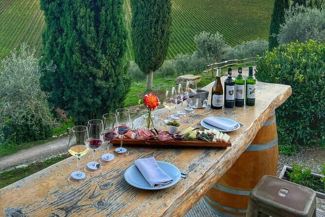 Semi Private Deep Wine Chianti and San Gimignano from Florence - San Gimignano’s towers: 1 hour 25 minutes to wander like a local