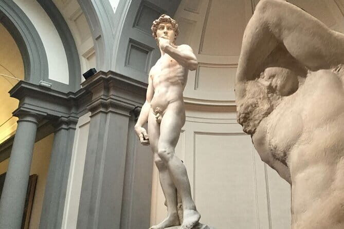 Skip the line : David Guided Experience - Multiple Start Times: Fit David Into a Real Florence Day