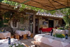 SMALL-GROUP Wine Safaris: Tuscan Wine Tasting Tours from Florence - Chianti Classico safaris: DOCG wines, villa cellars, and off-road viewpoints