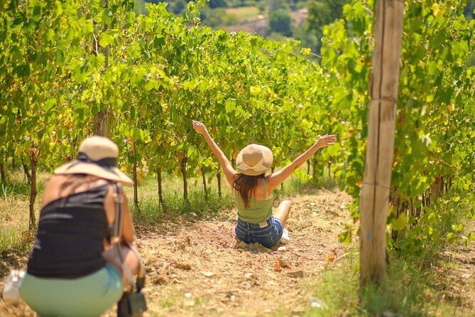 Super Chianti 2 wineries & meat feast @ Dario Cecchini—max 8 pp - The Wine Tasting Portion: Why It Feels Worth It