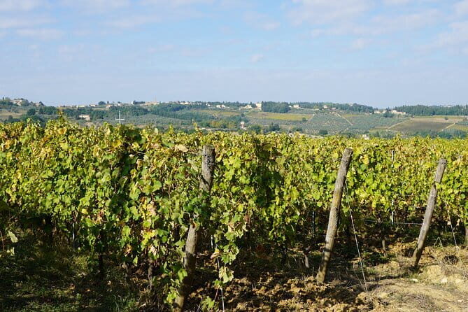 Super Chianti 2 wineries & meat feast @ Dario Cecchini—max 8 pp - Stop 1 at Grape Tours: A Quick Start You Can Actually Manage