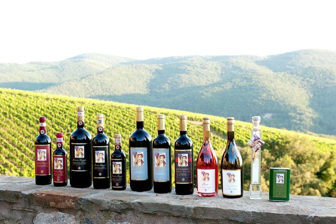 Tour and Tasting at an Organic Winery in the Heart of Chianti Classico Area - Key highlights to notice before you go