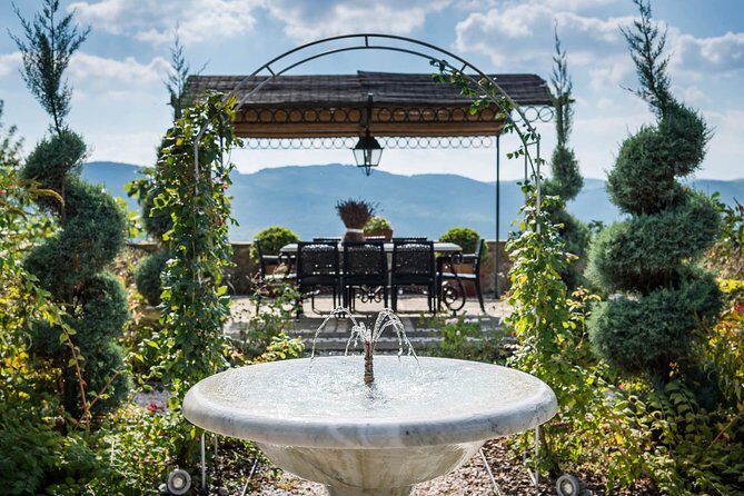 Tour and Tasting at an Organic Winery in the Heart of Chianti Classico Area - The snacks and olive oil side quest (that’s not really a side quest)