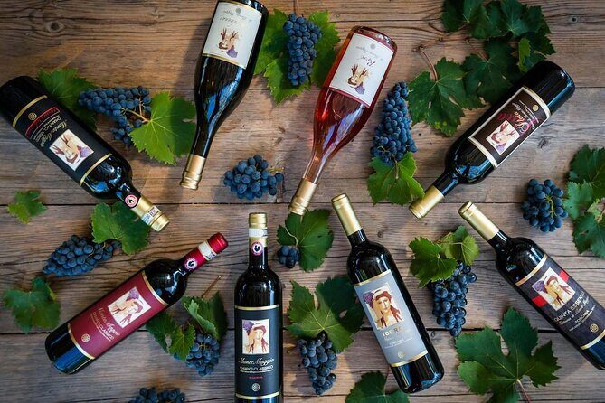 Tour and Tasting at an Organic Winery in the Heart of Chianti Classico Area - Pricing and value: what you’re really paying for at $48.36