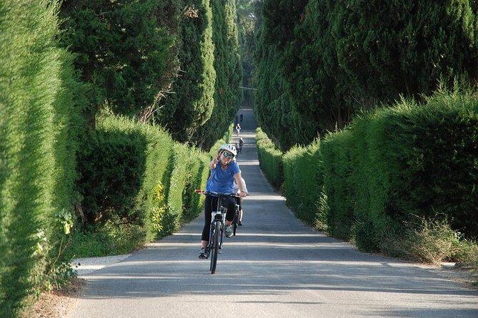 Tuscany Bike Tours Through the Chianti Hills with Wine Tasting - Florence Meet-Up and the Van Ride Into the Countryside