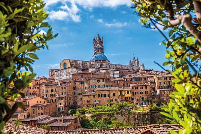 Tuscany Day Trip: Chianti & Cooking Class Small Group - Price and what you’re really buying for $167.74