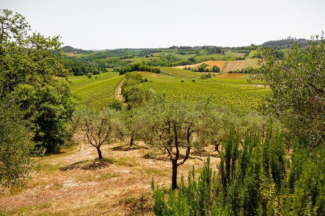 Tuscany Day Trip from Florence: Siena, San Gimignano, Pisa and Lunch at a Winery - Siena’s cathedral, Piazza del Campo, and the city’s contrade identity