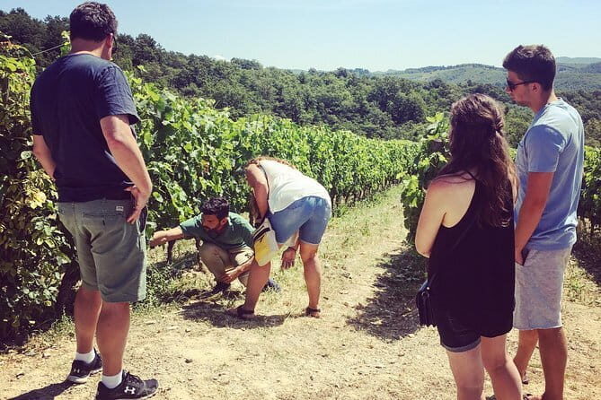 Tuscany Vespa Tours Through the Hills of Chianti - Buying Wine and Olive Oil: How to Turn Tastings Into Souvenirs