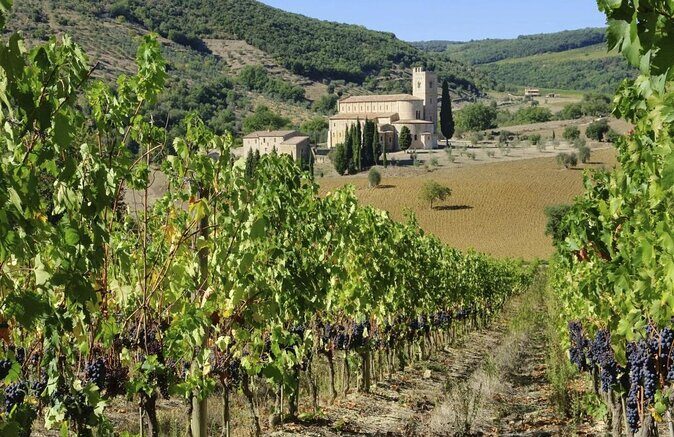 Val d'Orcia Brunello Wine Tour with Montalcino and Montepulciano - Key Takeaways Before You Go