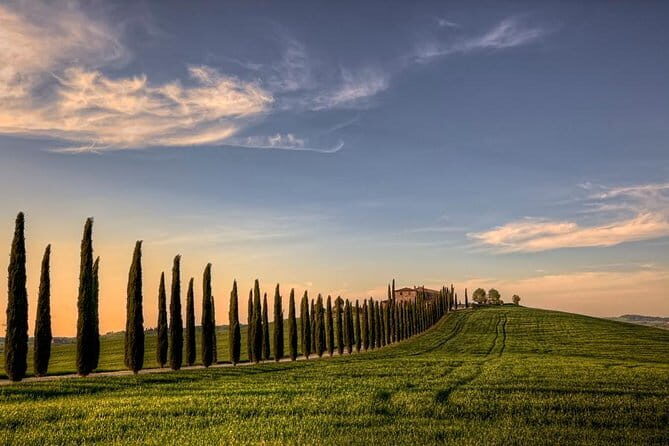 Wine Experience In Chianti Hills from Florence - The Food Pairings: Why the Menu Is More Than a Side Note