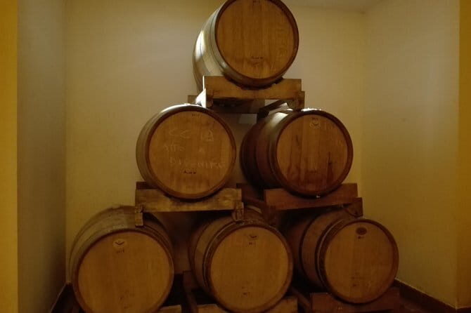Wine Experience In Chianti Hills from Florence - Who This Tour Fits Best (and Who Might Want Another Option)