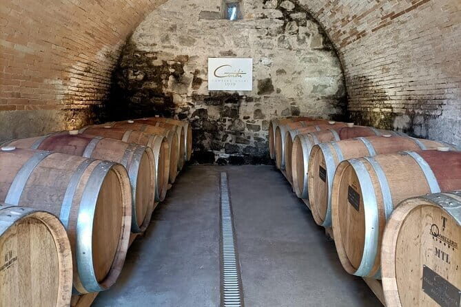 Wine Tasting Experience in Ponte Vecchio: Best Tuscany selection! - Choosing your two wines: Chianti, Vernaccia, or Super Tuscan
